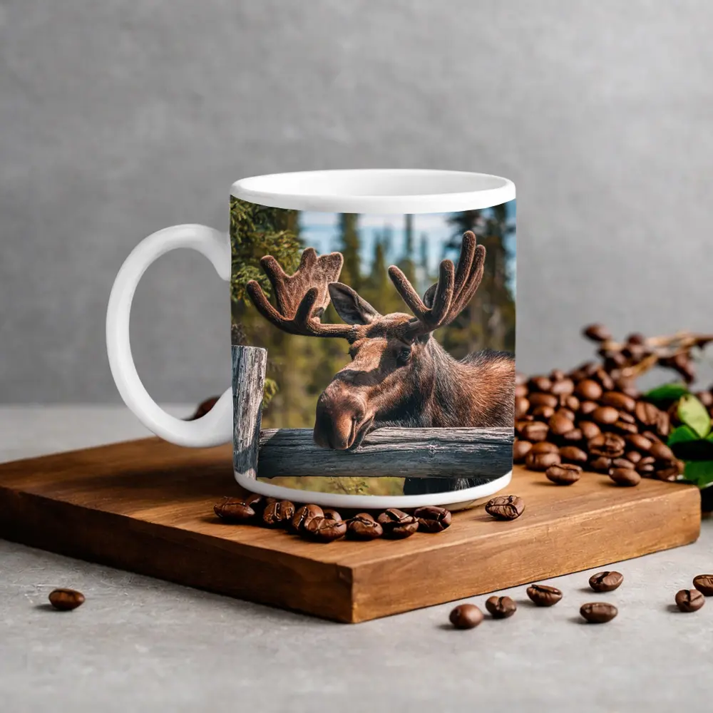 Bull Moose Resting on Wooden Fence Forest – Mugs