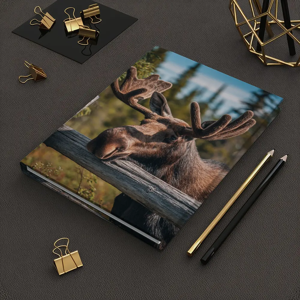 Bull Moose Resting on Wooden Fence Forest – Notebooks