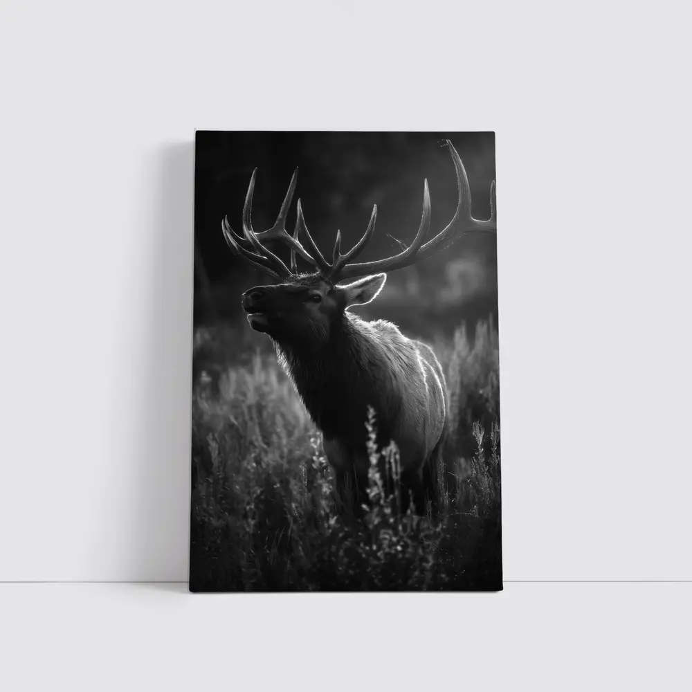 Bull Elk Standing in Dark Meadow Grass – Wall Art