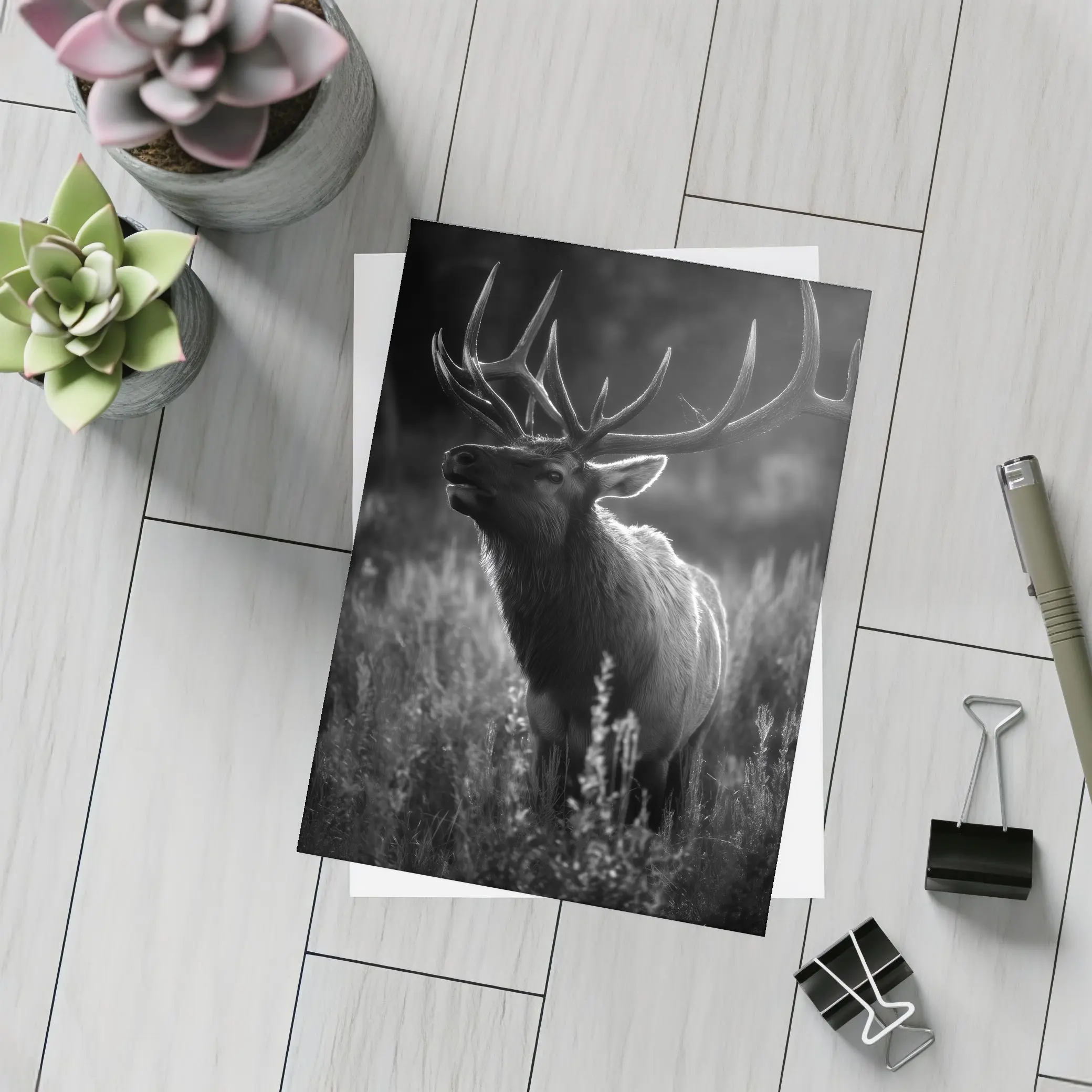 Bull Elk Standing in Dark Meadow Grass – Postcards