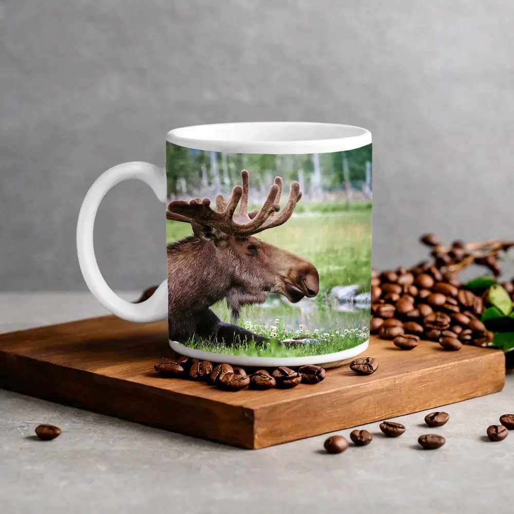 Bull Moose Resting in Green Meadow – Mugs