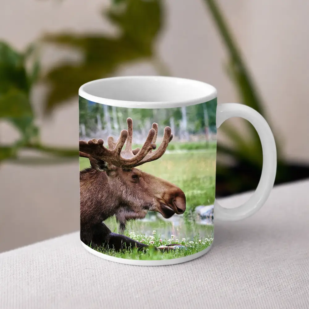 Bull Moose Resting in Green Meadow – Mugs