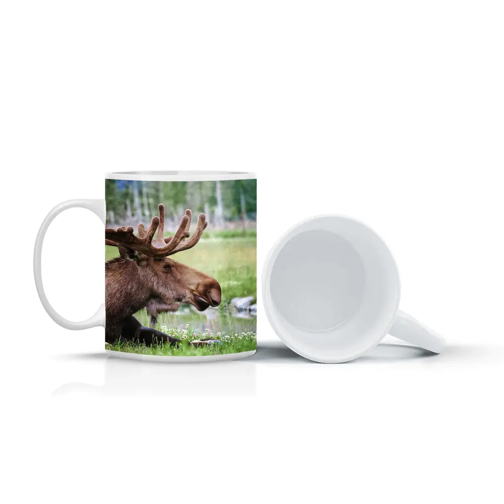Bull Moose Resting in Green Meadow – Mugs
