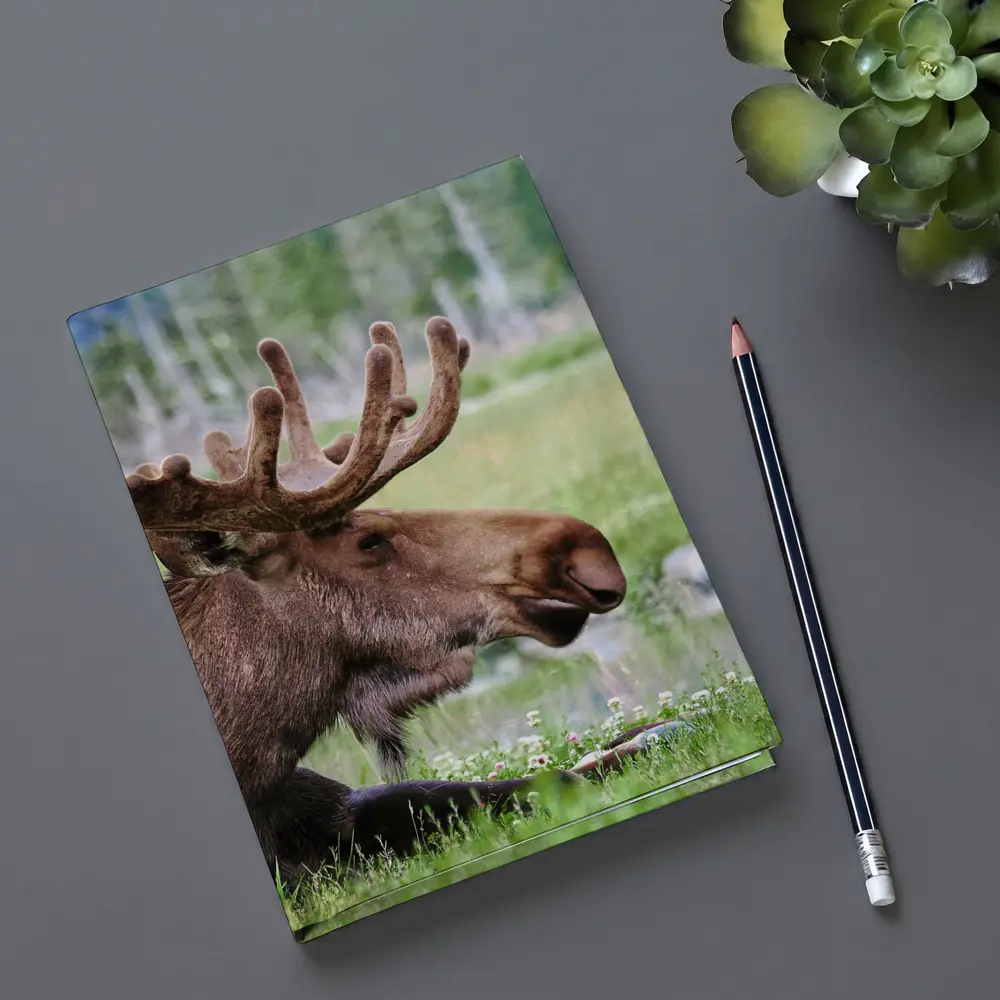 Bull Moose Resting in Green Meadow – Notebooks