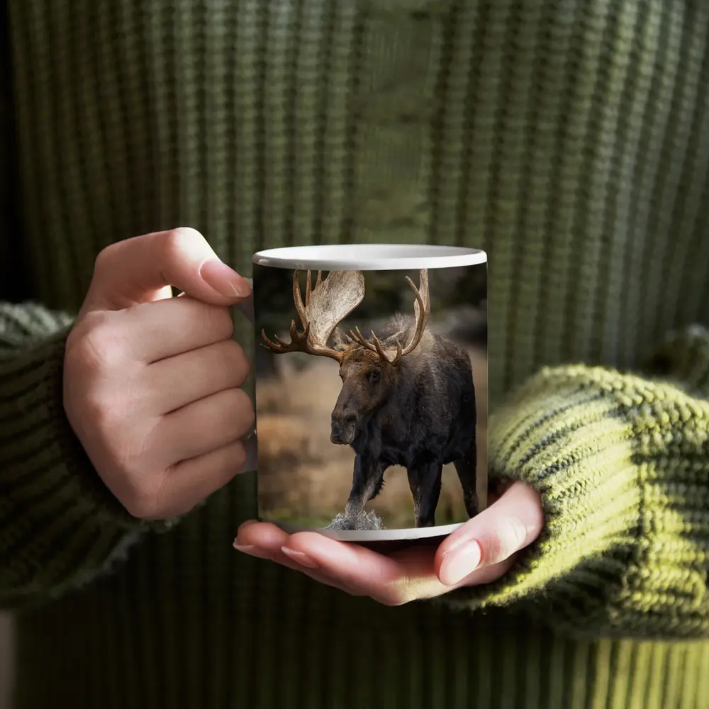 Bull Moose Splashing Water Autumn Wilderness – Mugs