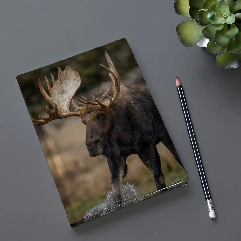 Bull Moose Splashing Water Autumn Wilderness – Notebooks
