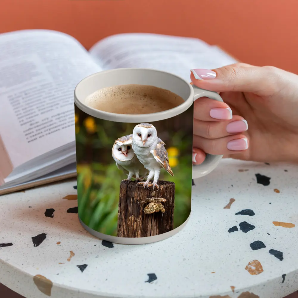 Two Barn Owls Perched On Wooden Post – Mugs
