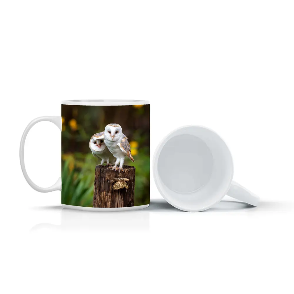 Two Barn Owls Perched On Wooden Post – Mugs
