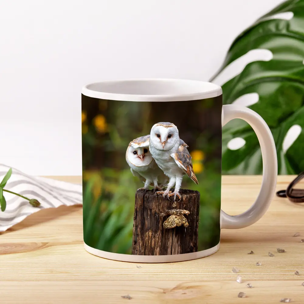 Two Barn Owls Perched On Wooden Post – Mugs
