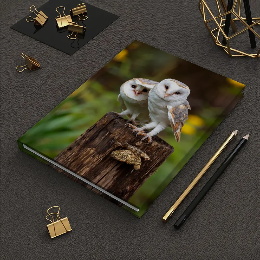 Two Barn Owls Perched On Wooden Post – Notebooks