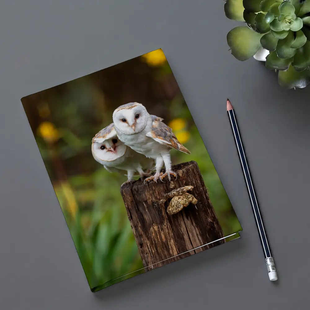 Two Barn Owls Perched On Wooden Post – Notebooks