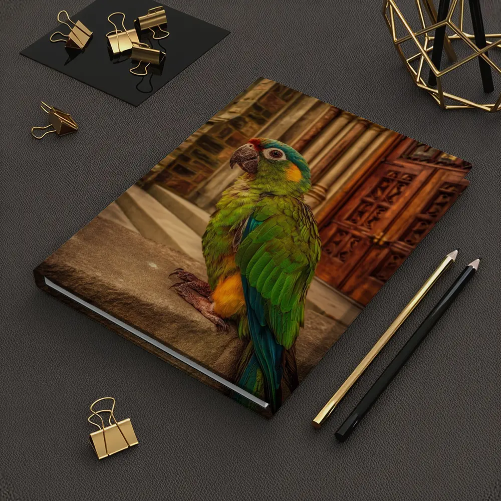 Green Parrot Perched Outside Stone Cathedral – Notebooks