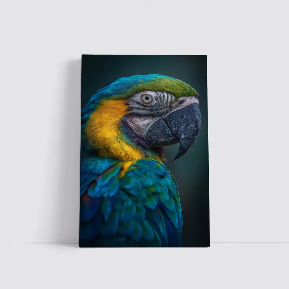 Blue Yellow Macaw Parrot Dark Background – Wall Art