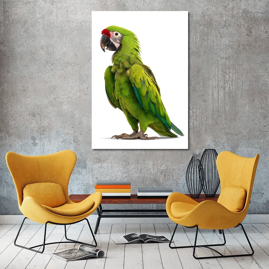 Green Military Macaw Parrot White Background – Wall Art