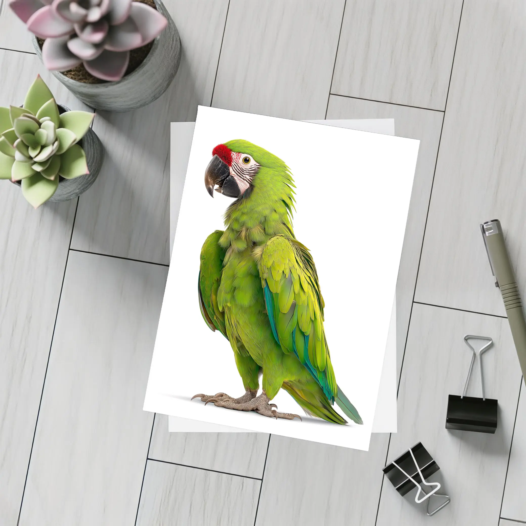 Green Military Macaw Parrot White Background – Postcards
