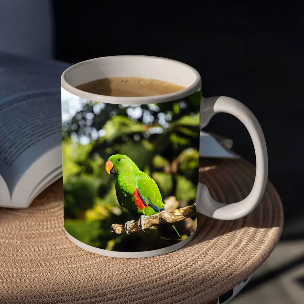 Green Eclectus Parrot Perched on Branch – Mugs