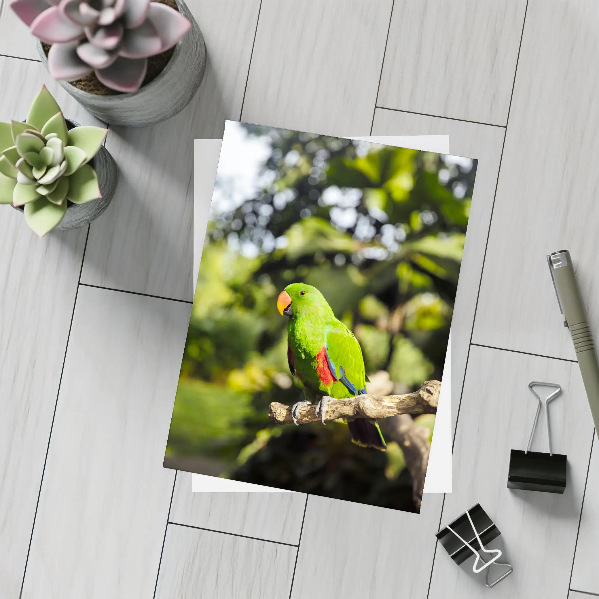 Green Eclectus Parrot Perched on Branch – Postcards