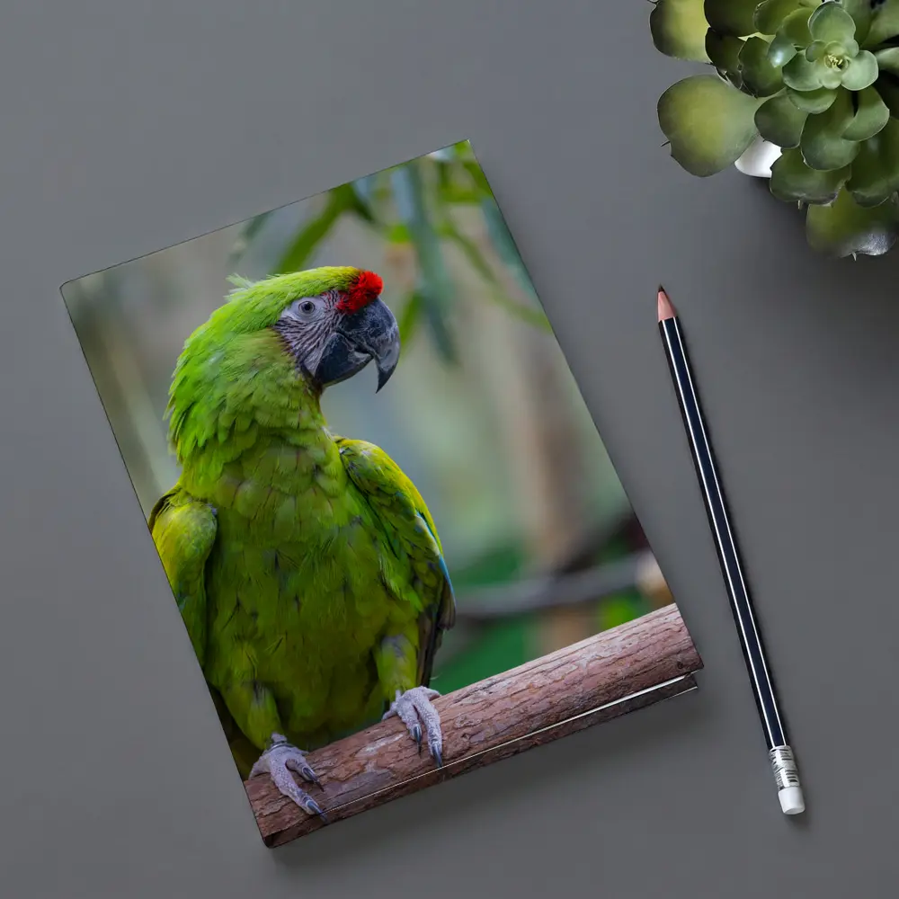 Green Macaw Parrot Perched On Branch – Notebooks