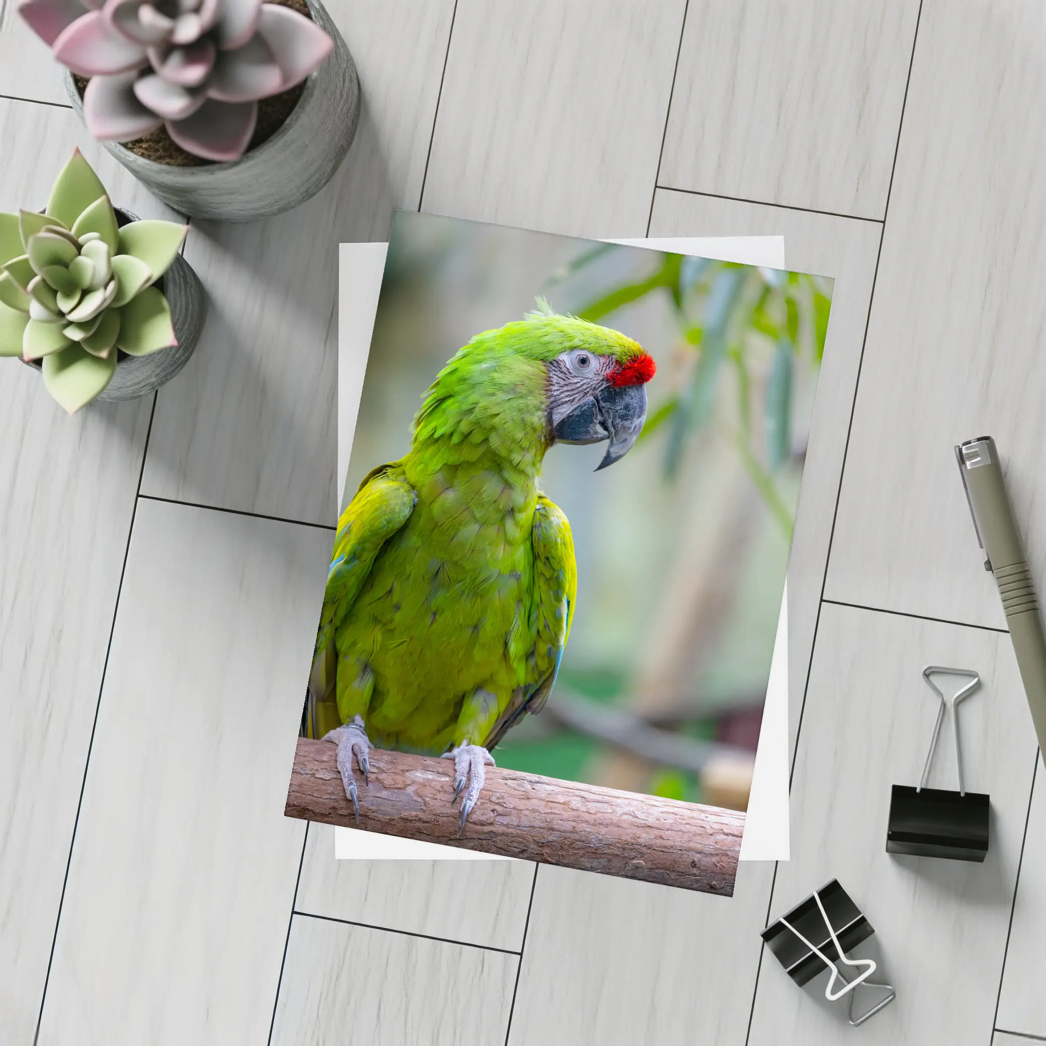 Green Macaw Parrot Perched On Branch – Postcards