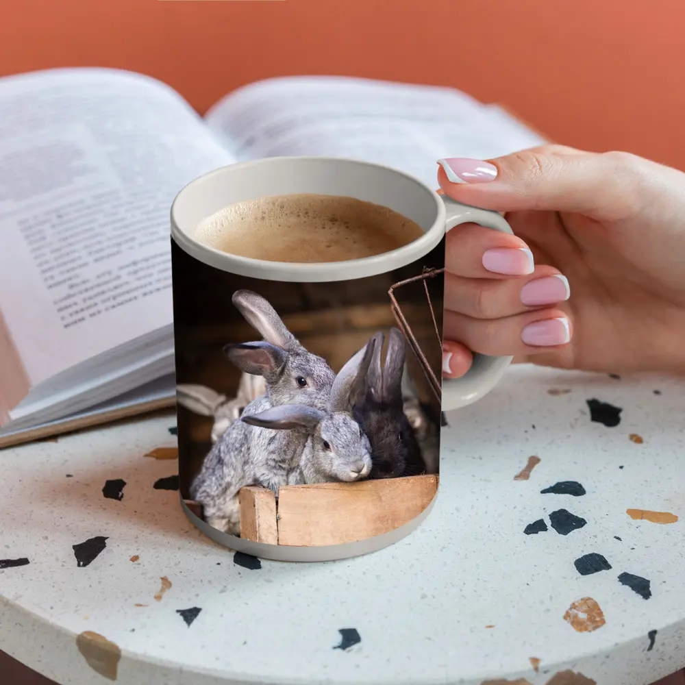 Gray Rabbits Resting in Wooden Hutch – Mugs