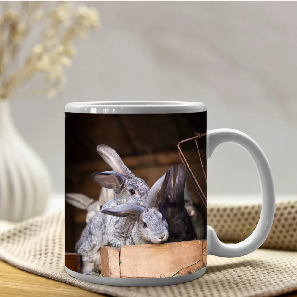 Gray Rabbits Resting in Wooden Hutch – Mugs