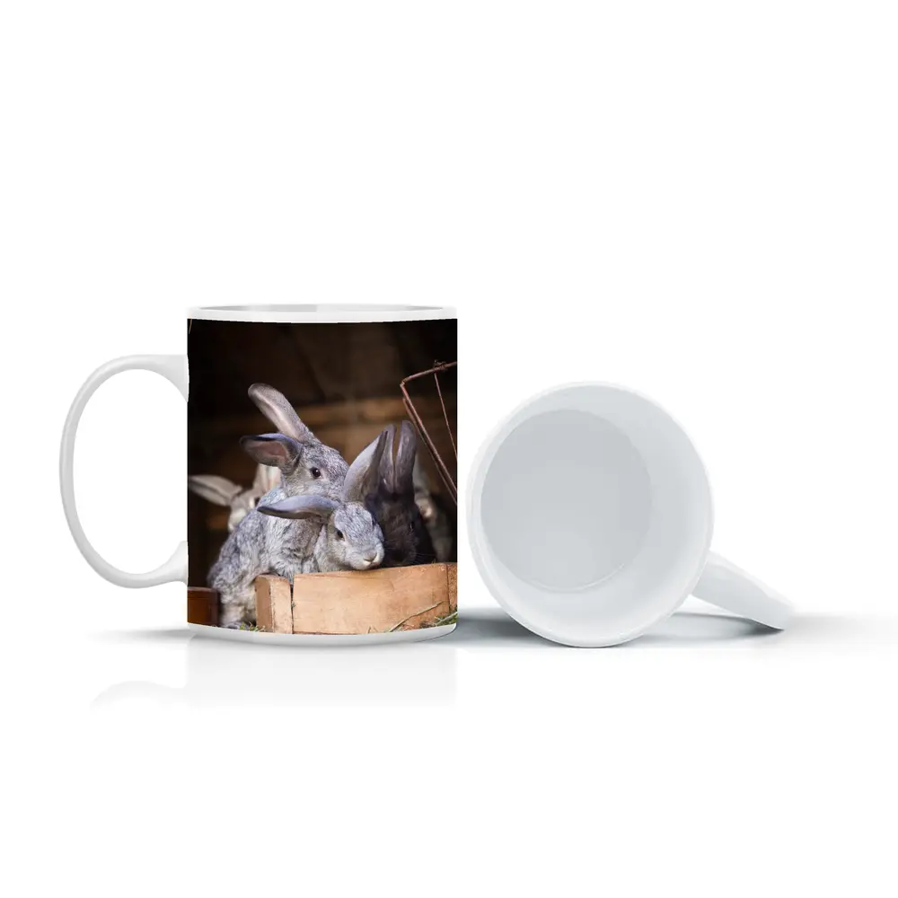 Gray Rabbits Resting in Wooden Hutch – Mugs