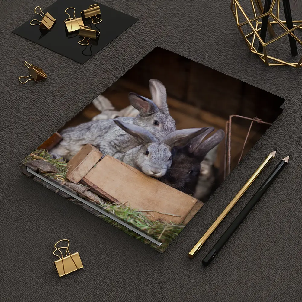 Gray Rabbits Resting in Wooden Hutch – Notebooks