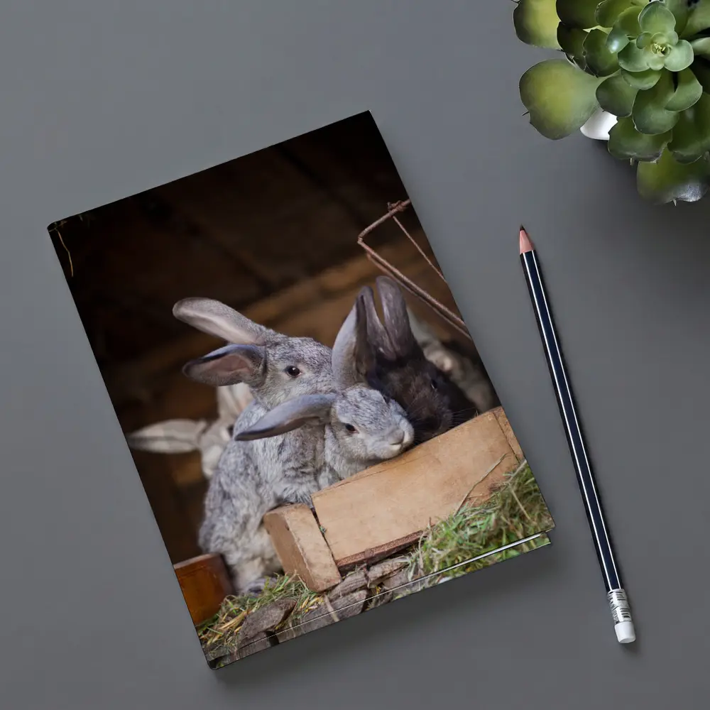 Gray Rabbits Resting in Wooden Hutch – Notebooks