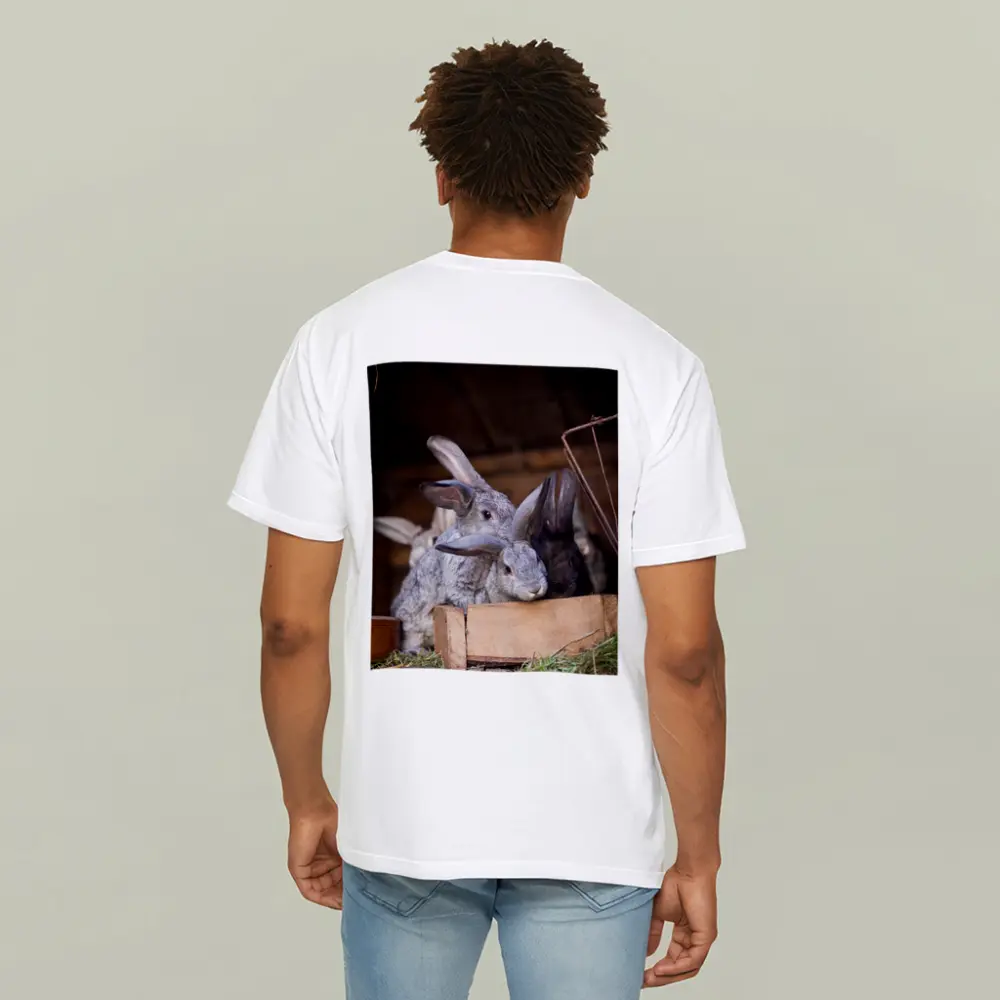 Gray Rabbits Resting in Wooden Hutch – T-Shirts