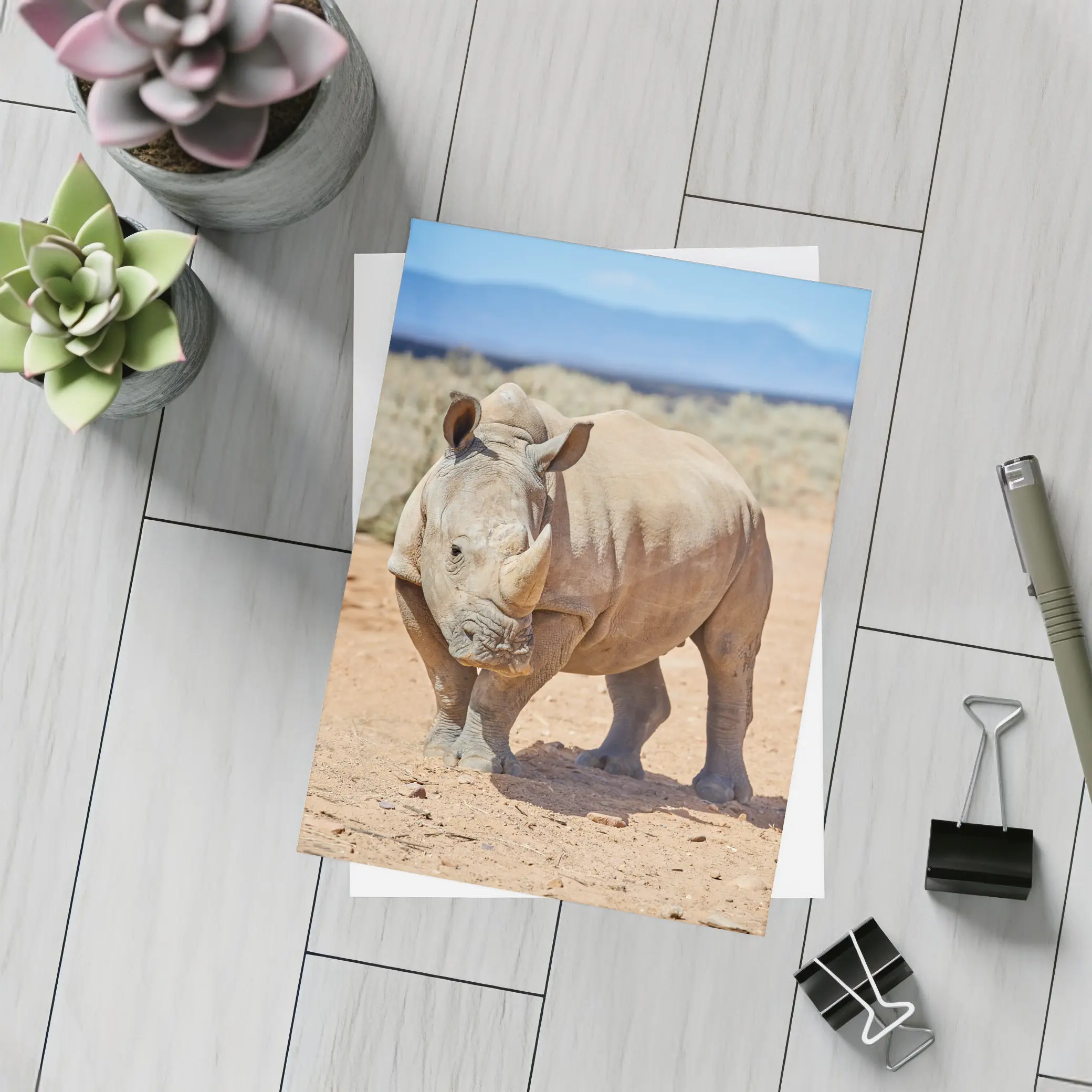 White Rhino Standing on African Desert Plains – Postcards