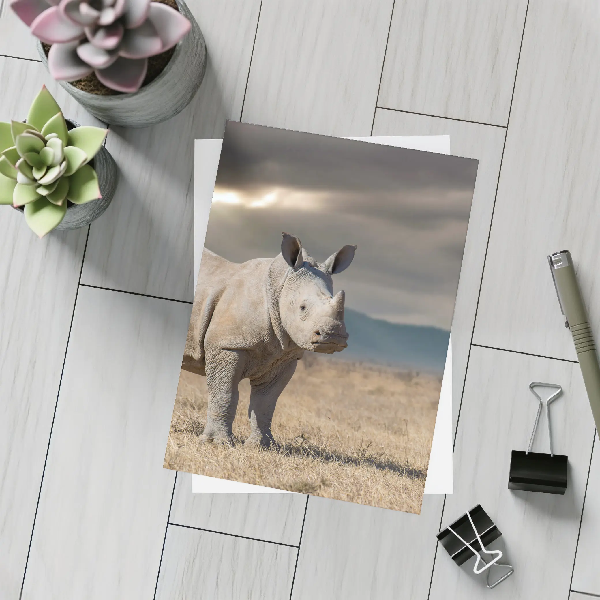 Young White Rhino Standing On African Savanna – Postcards