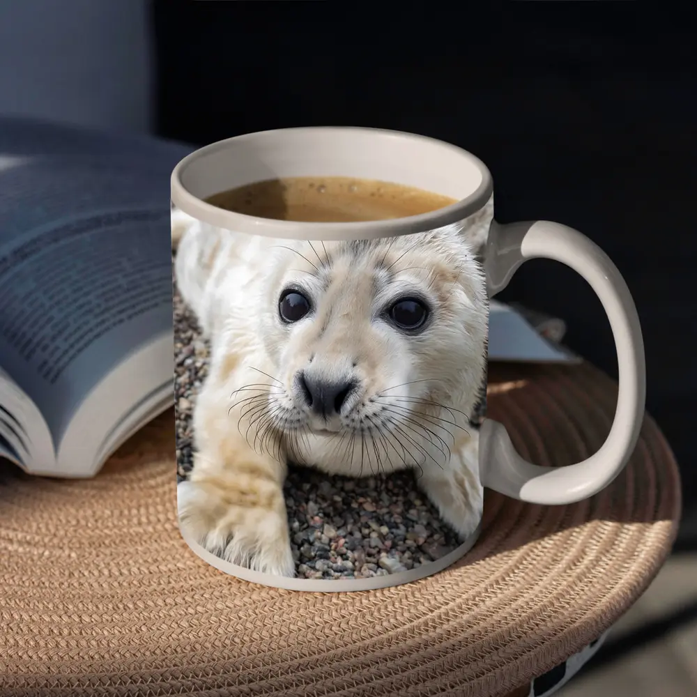 Baby Seal Pup on Rocky Gravel Ground – Mugs