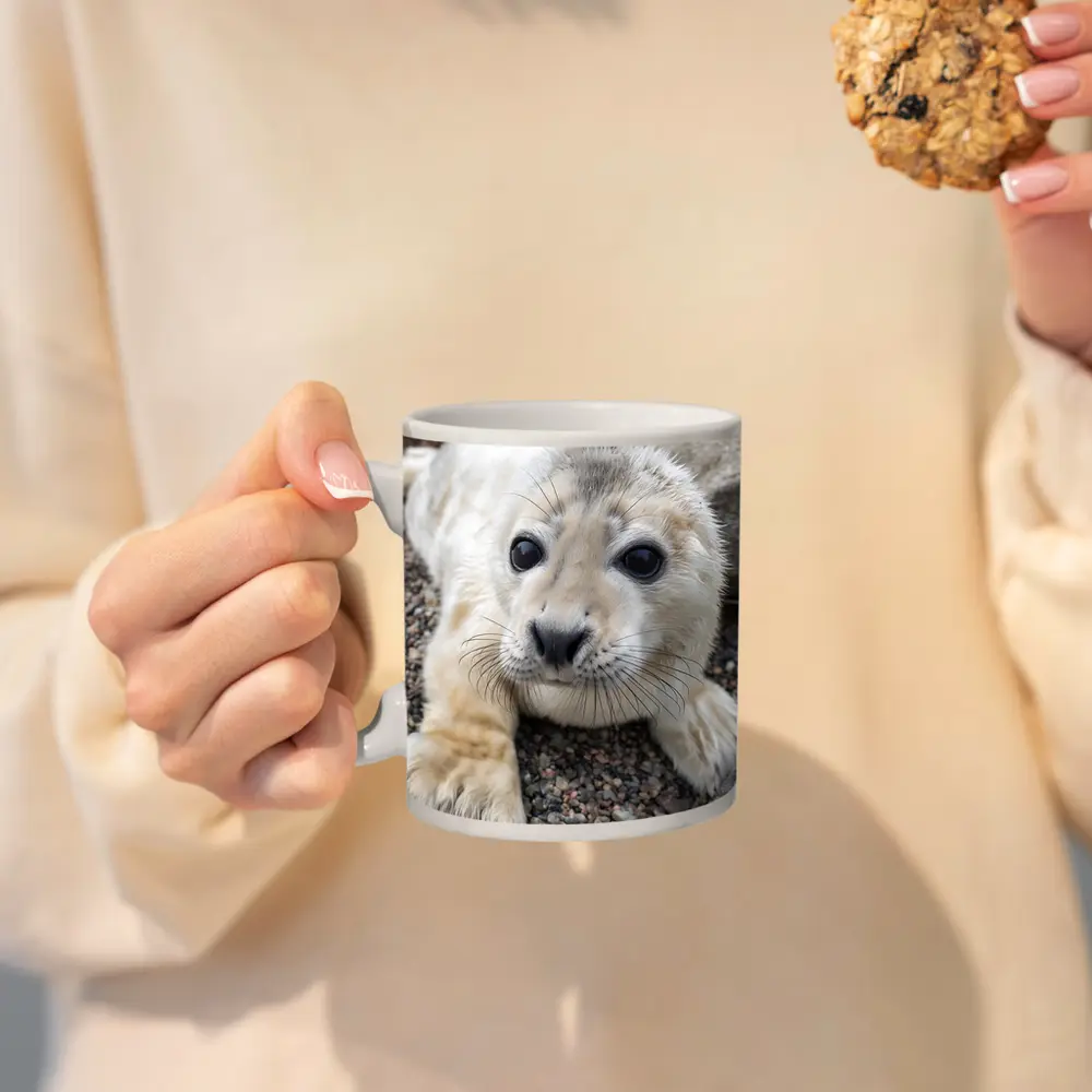 Baby Seal Pup on Rocky Gravel Ground – Mugs