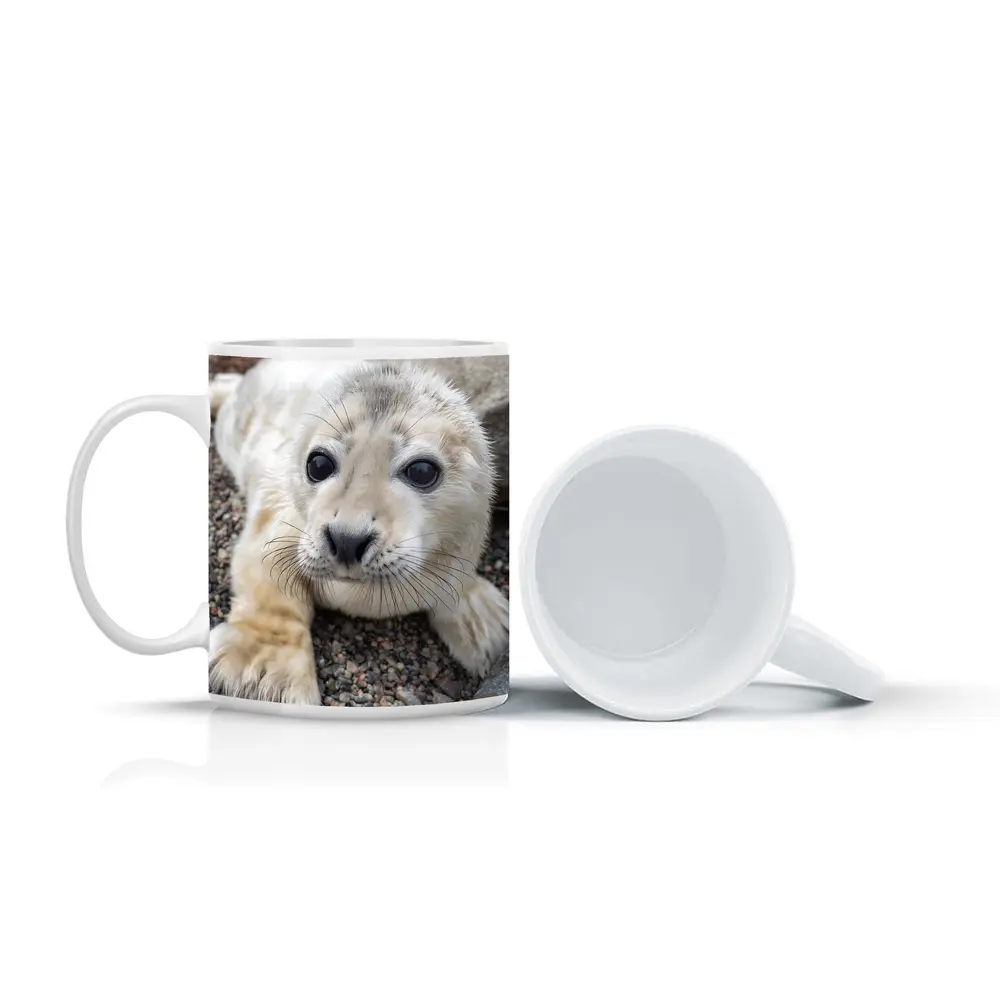 Baby Seal Pup on Rocky Gravel Ground – Mugs