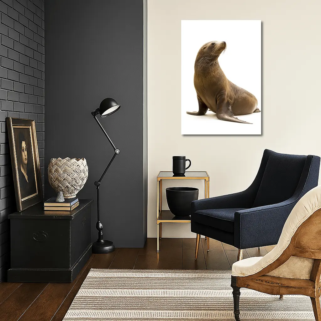 Sea Lion Sitting On White Background – Wall Art