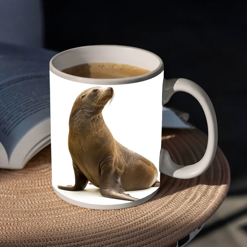 Sea Lion Sitting On White Background – Mugs