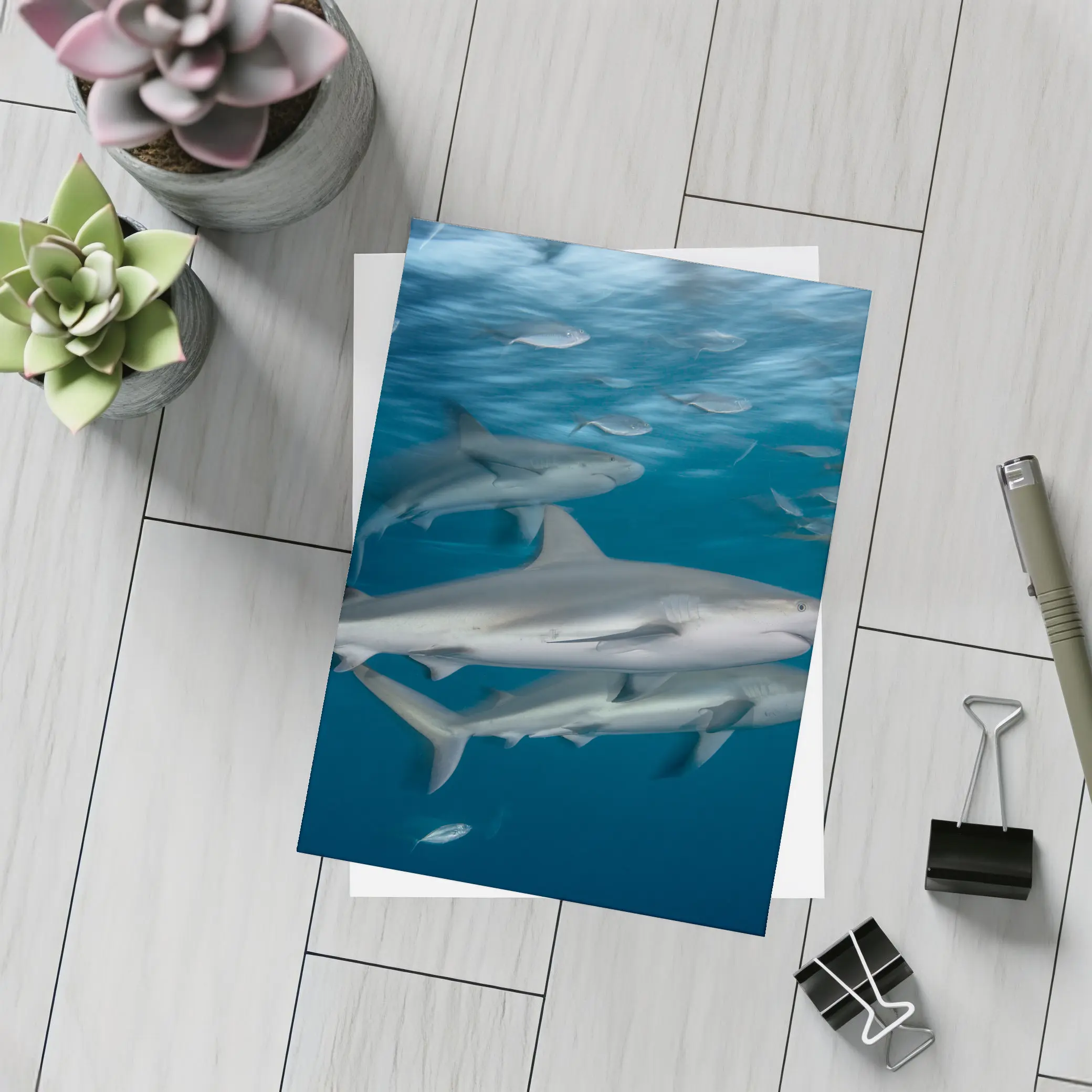 Sharks Swimming Together in Deep Blue Ocean – Postcards