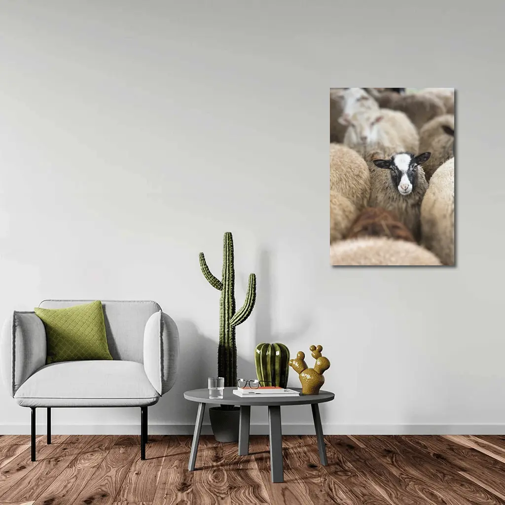 Black Faced Sheep Standing Among Flock – Wall Art