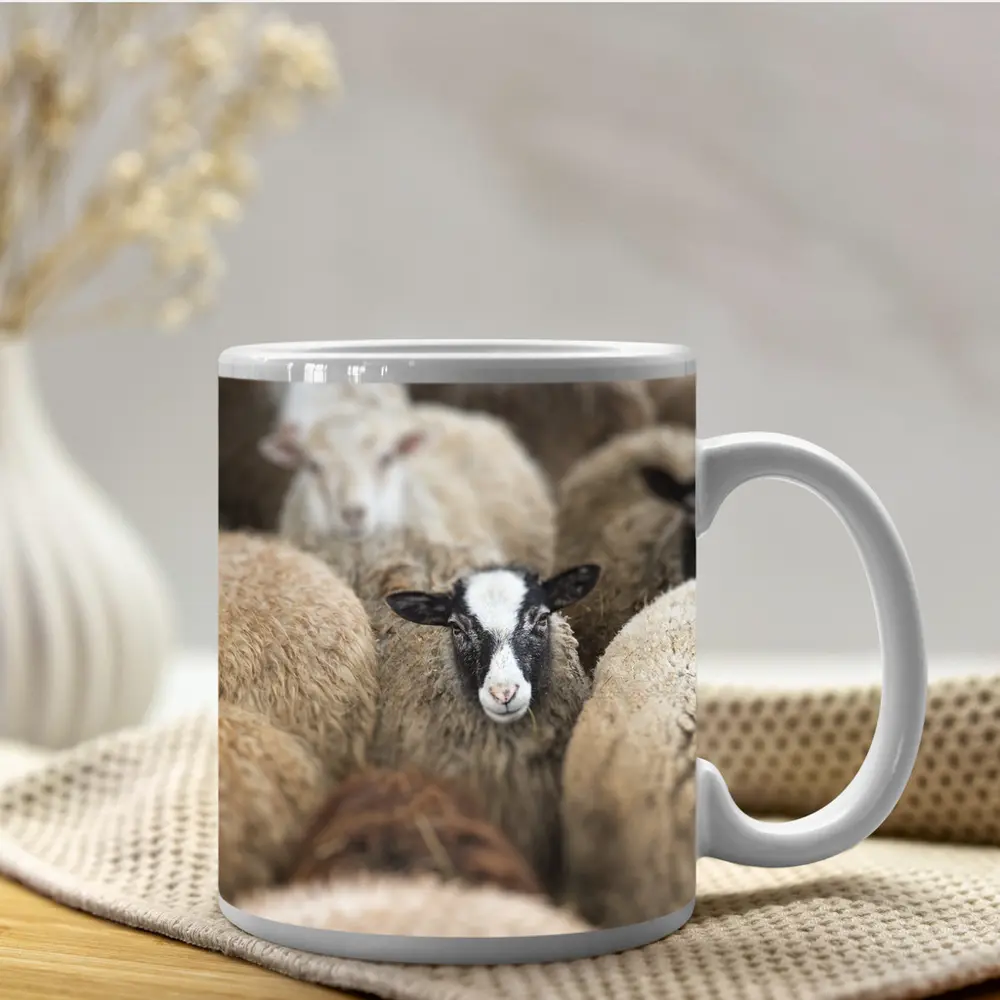 Black Faced Sheep Standing Among Flock – Mugs