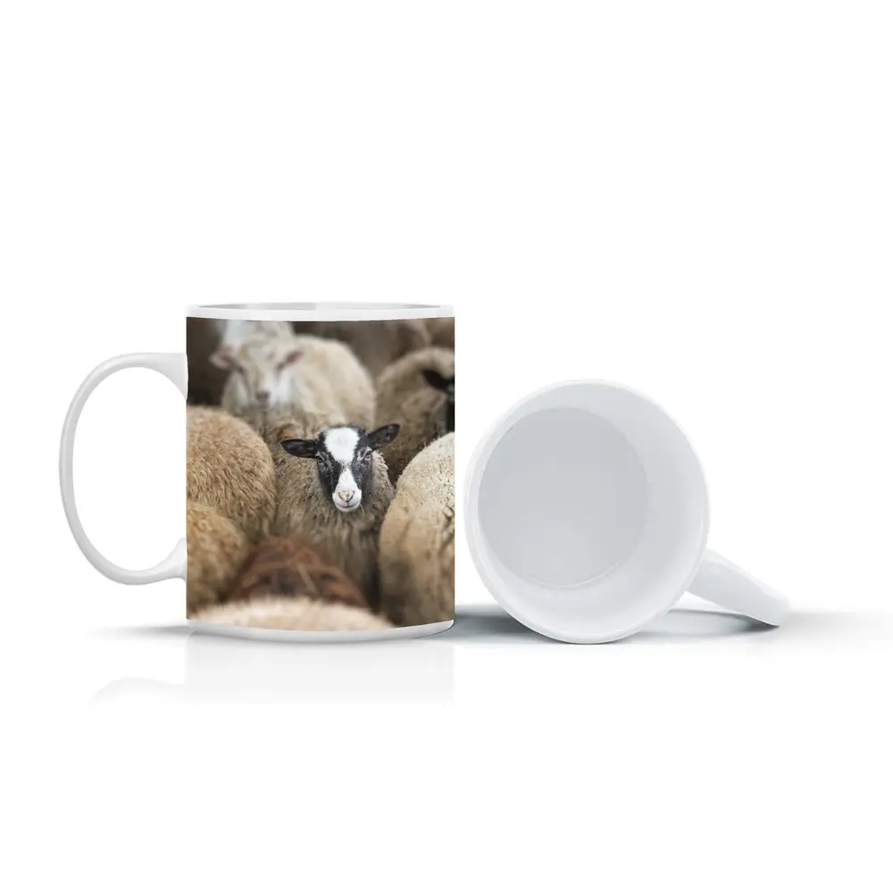 Black Faced Sheep Standing Among Flock – Mugs