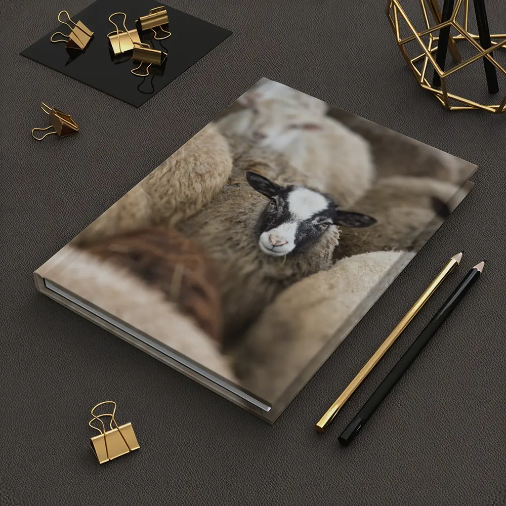 Black Faced Sheep Standing Among Flock – Notebooks