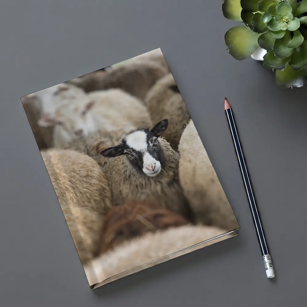 Black Faced Sheep Standing Among Flock – Notebooks