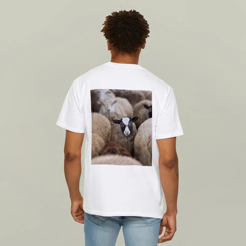 Black Faced Sheep Standing Among Flock – T-Shirts