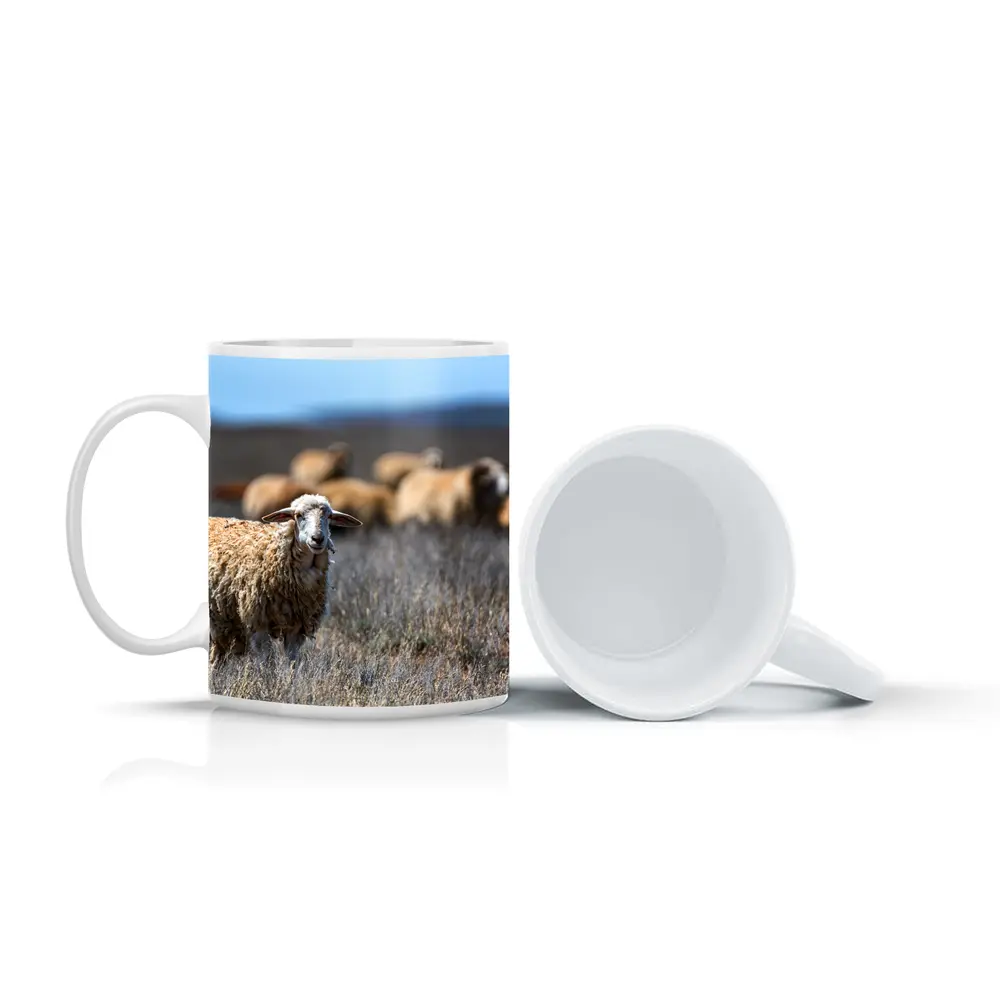 Woolly Sheep Standing in Dry Grassland Field – Mugs
