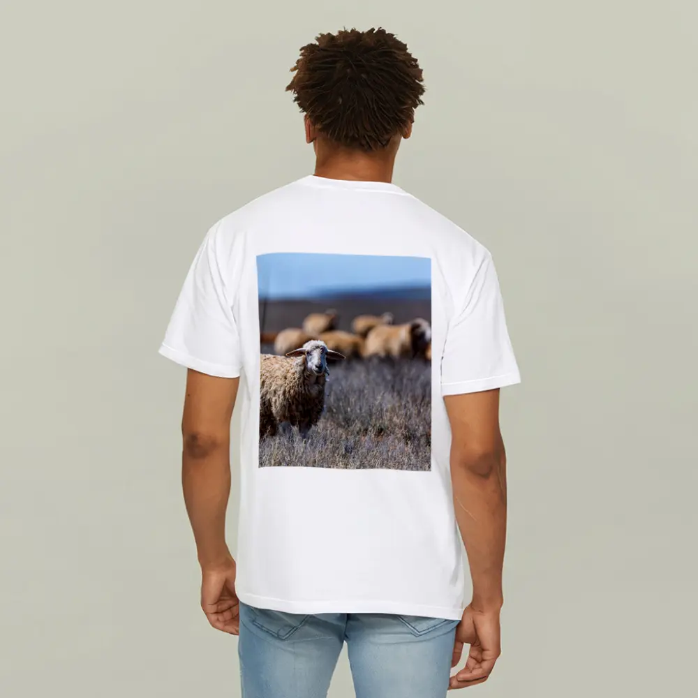 Woolly Sheep Standing in Dry Grassland Field – T-Shirts