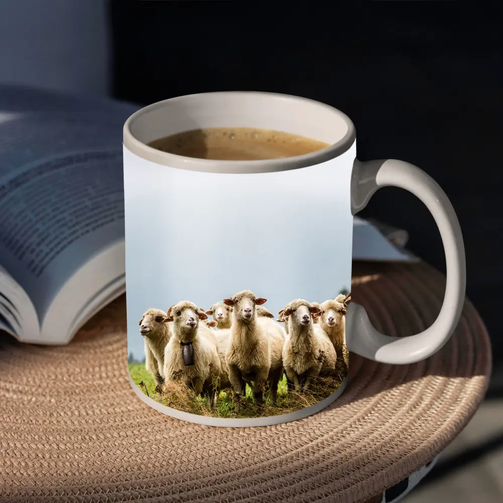 Flock of Sheep Standing in Green Field – Mugs