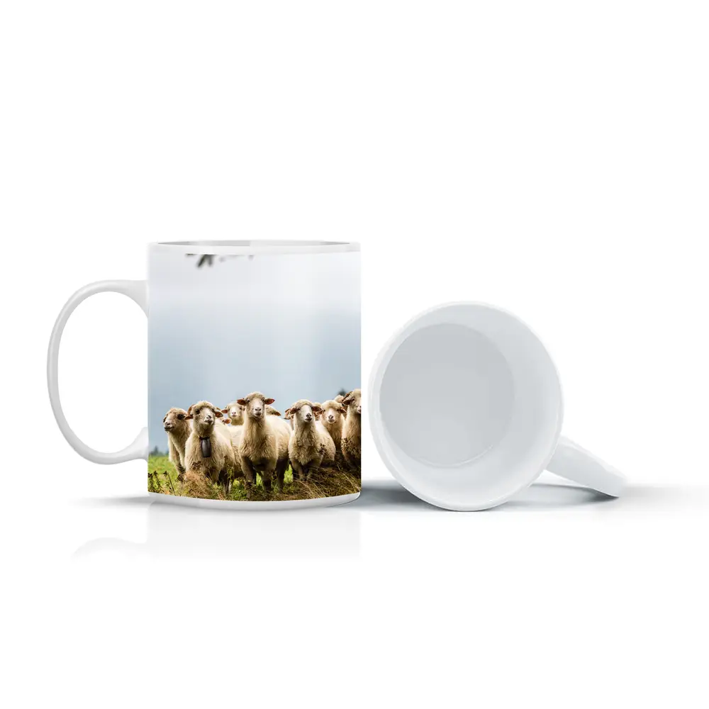 Flock of Sheep Standing in Green Field – Mugs