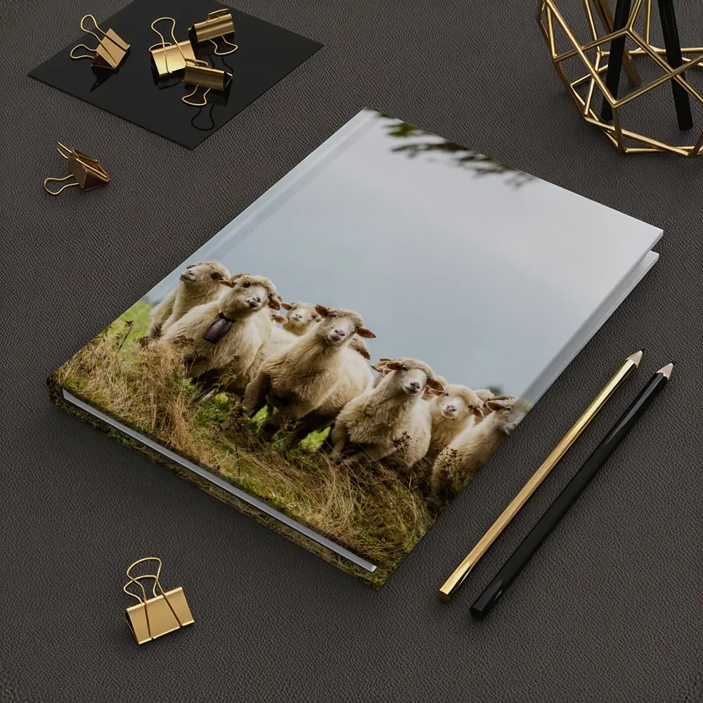 Flock of Sheep Standing in Green Field – Notebooks