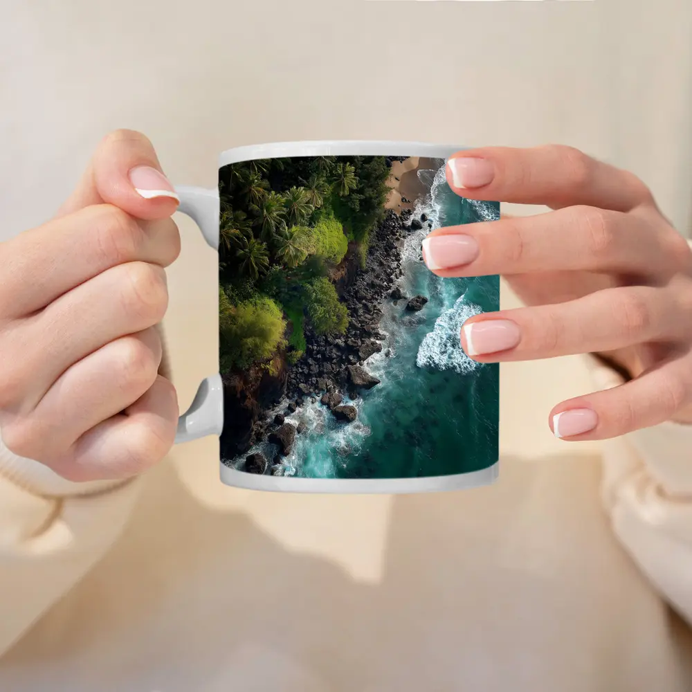 Aerial Tropical Coastline Rocky Shore Ocean – Mugs