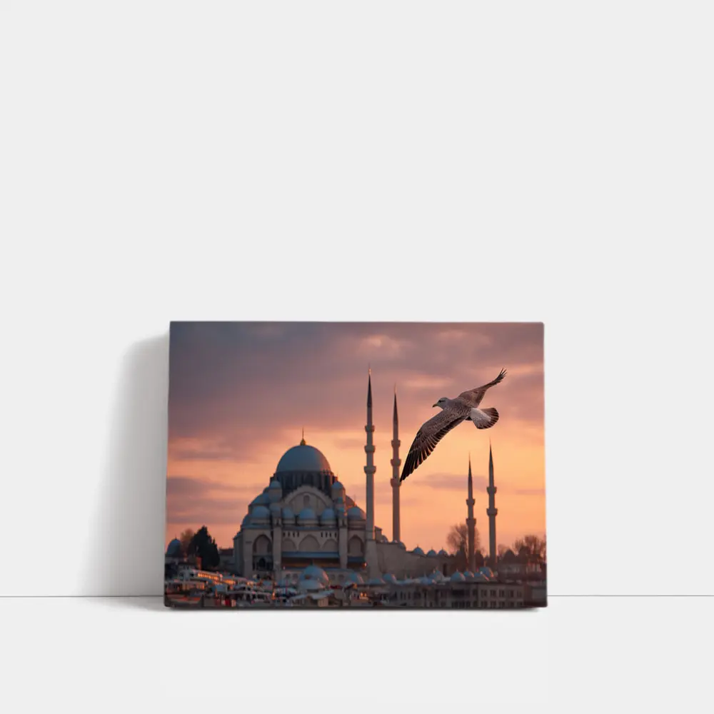 Seagull Flying Over Istanbul Mosque Sunset – Wall Art